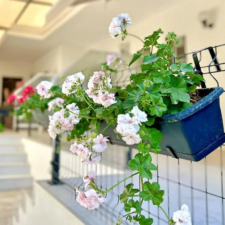 Guest House Julia * Stavros (Thessaloniki)