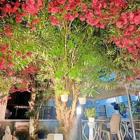 Guest House Julia Guest house *