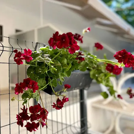 Maison d'hôtes Julia 4*